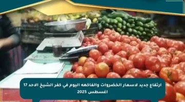 ارتفاع جديد لأسعار الخضروات والفاكهة اليوم في كفر الشيخ الأحد 17 أغسطس 2025